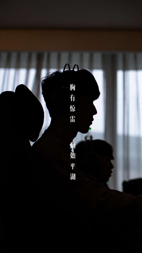 维斯塔潘面 维斯塔潘面