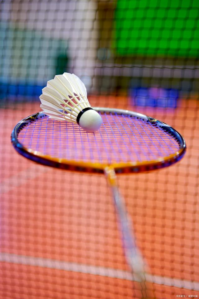 网球这一项 网球这一项