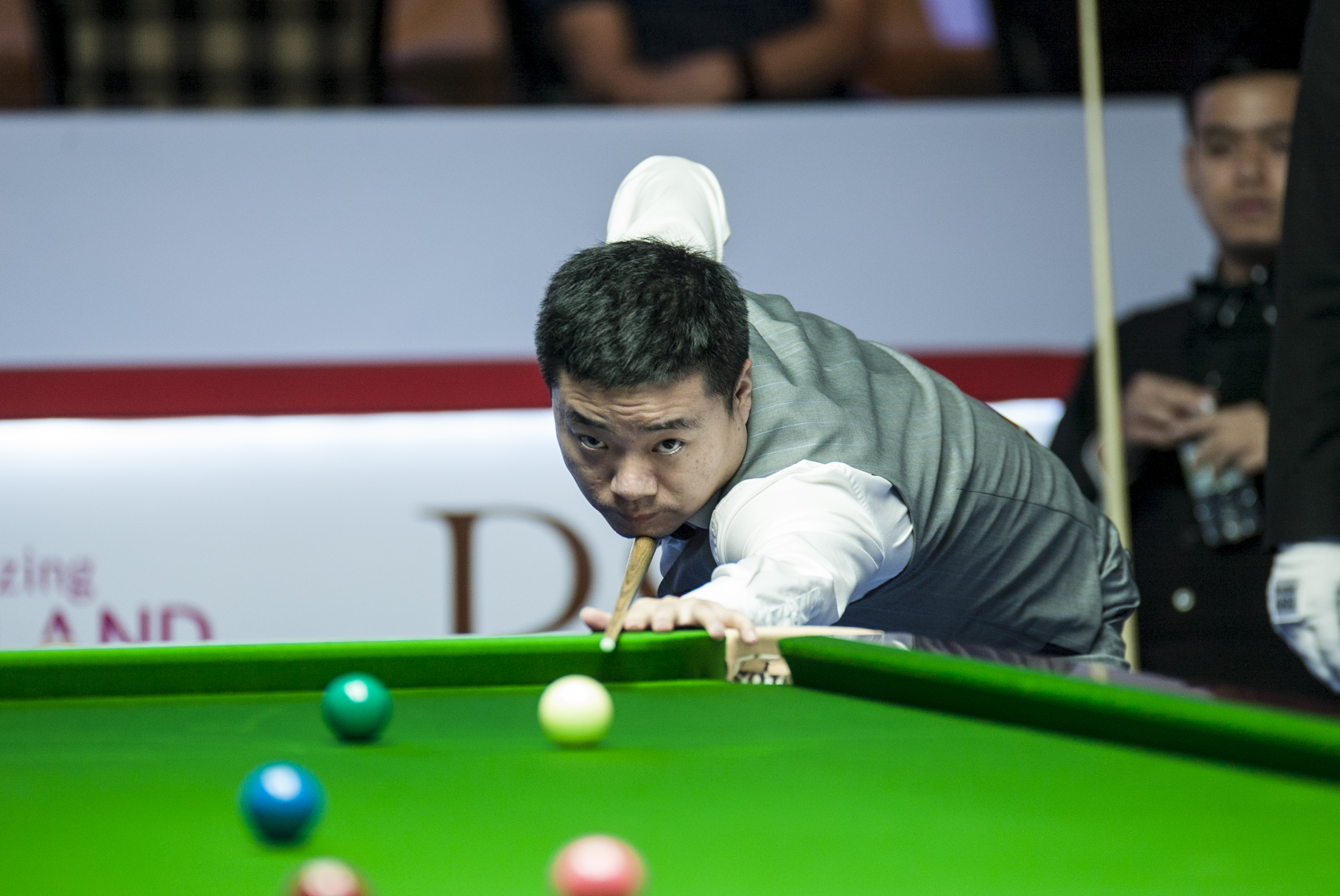 到专业化教 到专业化教